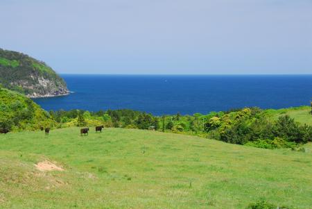 離島百貨店で「隠岐の島町フェア」開催！