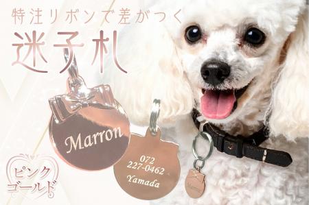 【新発売】秋のおさんぽにぴったり！特注リボンで差が