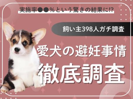 【飼い主398人に調査】犬の避妊、実施率は驚きの●●％