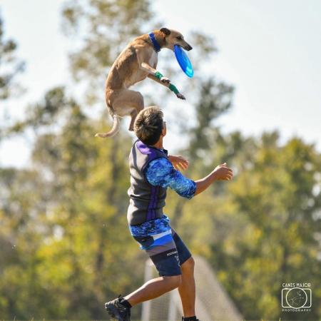 《入場無料》秋の那須ガーデンアウトレットで、utf-8