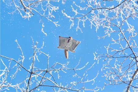 『第8回北海道撮影ポイントランキング年間グランutf-8