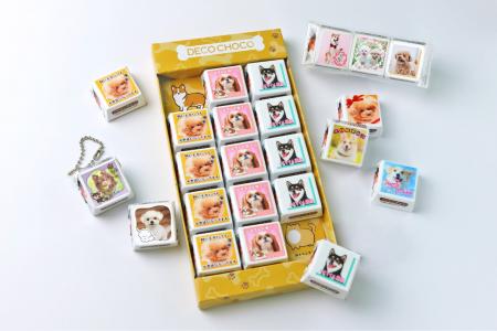犬の日（11月1日）に向けて「DECOチョコ犬フェス」開