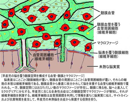 【杏林大学】保健学部 臨床検査技術学科の摂津助utf-8