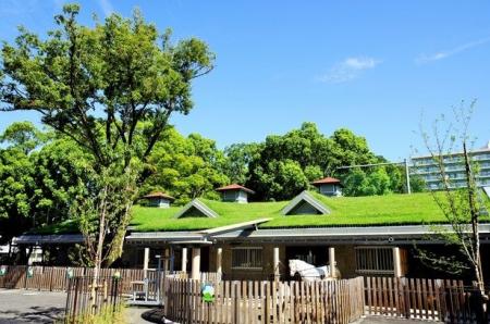 板橋区立こども動物園がグッドデザイン賞を受賞！