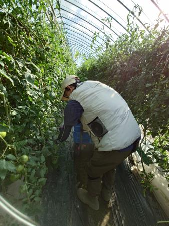 農業分野初「マッスルスーツSoft-Power(R)」と「COOL-