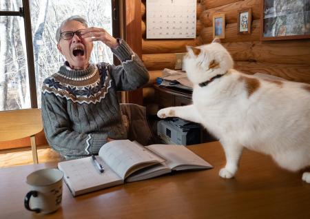 あの猫とお父さんの攻防がまさかのグッズ化　写真集『