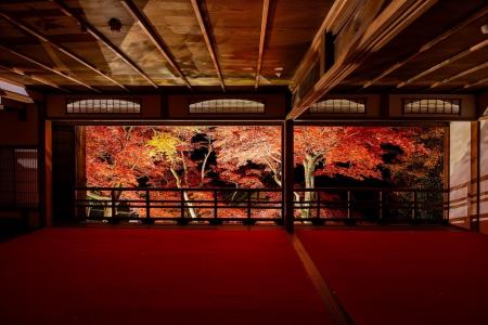 秋の絶景！柳谷観音楊谷寺「紅葉ウィーク2025」開催 
