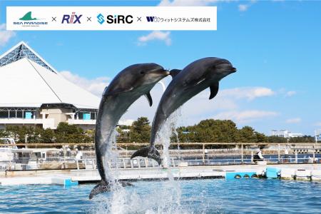【水族館×IoT】当社IoT製品を横浜・八景島シーパラダ