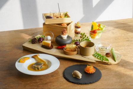 【泊まれる公園 INN THE PARK 沼津】五感で楽しむ「森