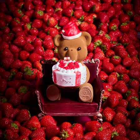 LOUANGE TOKYO Collection de Noel 2025「サプライズ