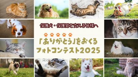 保護犬・保護猫を支える人へ「ありがとう」を贈るフォ