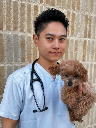 『猫の介護ハンドブック』第4刷が決定　― 猫の在utf-8