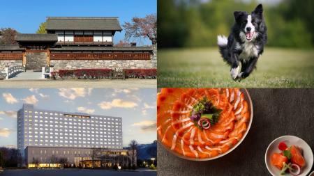 真田家ゆかりの地・紅葉の長野松代を楽しむ女子旅にお 真田家ゆかりの地・紅葉の長野松代を楽しむ女子旅にお