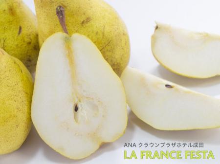 【ANAクラウンプラザホテル成田】11月1日(土)よりラン