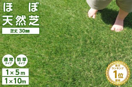 【本日20時開始!楽天お買い物マラソン】高評価★4.5以 【本日20時開始!楽天お買い物マラソン】高評価★4.5以