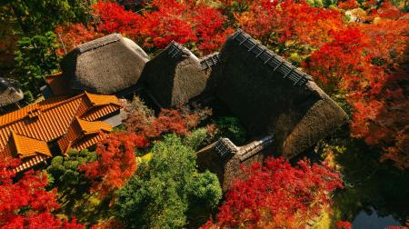 【佐賀県】 “受け継がれる美。語り継がれる秋。” 国の 【佐賀県】 “受け継がれる美。語り継がれる秋。” 国の