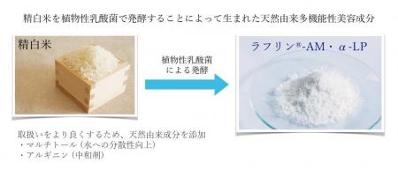 「多機能性乳酸菌発酵米」によるビタミンC誘導体（ア