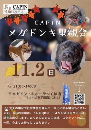 11月2日 CAPINメガドンキ里親会 開催のお知らせ 11月2日 CAPINメガドンキ里親会 開催のお知らせ
