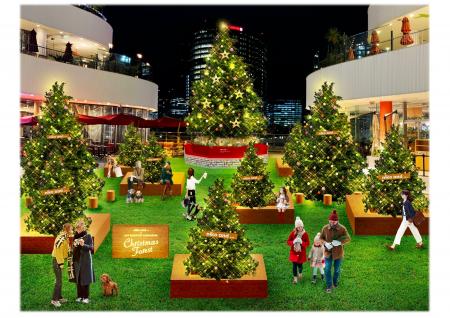 「niko and ...」とのコラボイルミネーション 「niko 