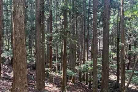 未来へつなぐ新拠点「パルシステムの森(仮称)」を提 未来へつなぐ新拠点「パルシステムの森(仮称)」を提