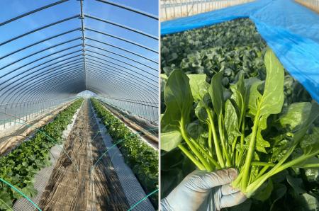 【イベント告知】茨城県鉾田市×チイオシ コラボプロジ 【イベント告知】茨城県鉾田市×チイオシ コラボプロジ