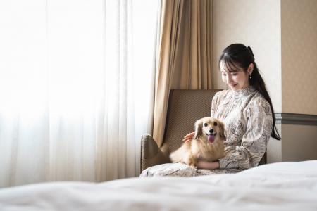 【都ホテル 尼崎】ドッグフレンドリーステイプラン  【都ホテル 尼崎】ドッグフレンドリーステイプラン