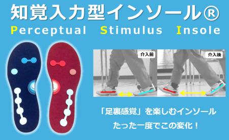 「知覚入力型インソール（PSI）」が第19回ひろしまグ