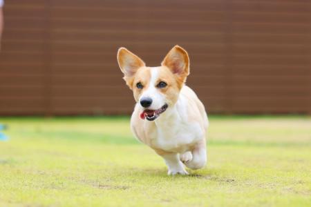 【新登場】プライベートサウナ付き絶景グランピング「