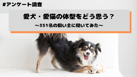愛犬・愛猫の体型をどう思う?飼い主の約5割が「理想 愛犬・愛猫の体型をどう思う?飼い主の約5割が「理想