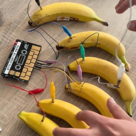 バナナが、植物が、楽器になる！？｜身近なモノを楽器