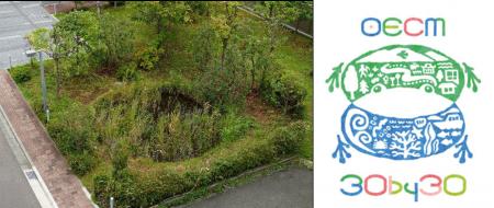 「とんぼ池」を含む「横浜・京浜の森」が、OECM※1とし 「とんぼ池」を含む「横浜・京浜の森」が、OECM※1とし