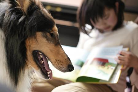 本を読むのは“わたし”と“わんこ”!公立図書館で「読書 本を読むのは“わたし”と“わんこ”!公立図書館で「読書