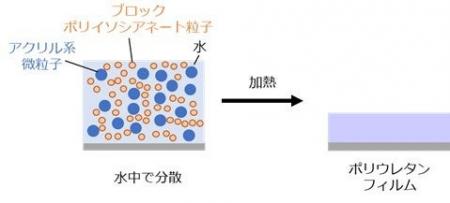 【大阪工業大学】水系ポリウレタンフィルム形成の仕組 【大阪工業大学】水系ポリウレタンフィルム形成の仕組