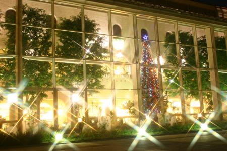 淡路島で最速のクリスマスツリー、2025年11月1日(土)