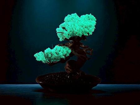 世界初の「光盆栽」と「アロマ盆栽」誕生。究極のサス 世界初の「光盆栽」と「アロマ盆栽」誕生。究極のサス