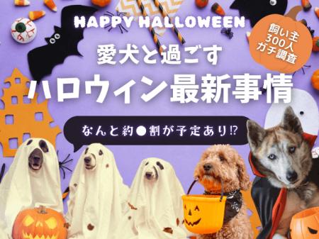 【飼い主400人に調査】●割が愛犬とのハロウィンに向け 【飼い主400人に調査】●割が愛犬とのハロウィンに向け