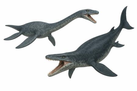 【名古屋大学】ジュラ紀・白亜紀の海棲爬虫類のutf-8