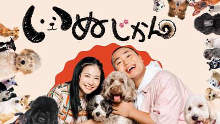 11月のアニマルプラネットは毎年恒例犬の月!ワン・ワ 11月のアニマルプラネットは毎年恒例犬の月!ワン・ワ