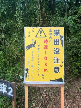 『猫出没注意』警報発令中～ご注意ください！