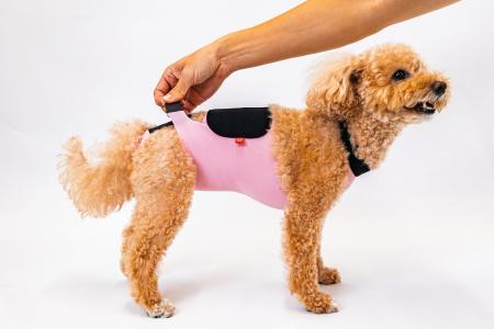 「毎日でも着せたい！」と大好評のエプロンデザイン！