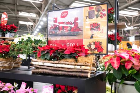 デュメンオレンジ、JFIトレードフェアに初出展