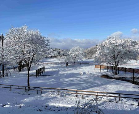 「雪国グランピング」2025年12月よりスタート!Sutf-8 「雪国グランピング」2025年12月よりスタート!Sutf-8