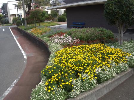 【東京都町田市】2025年度秋の花壇コンクール審査結果