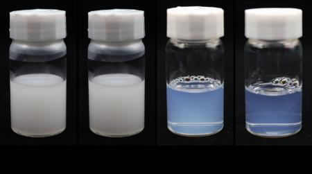 深海インスパイアード化学が切り拓くナノ乳化の新時代 深海インスパイアード化学が切り拓くナノ乳化の新時代