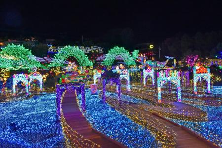 2025年11月7日（金）スタート！！ 日本初！体験型イル