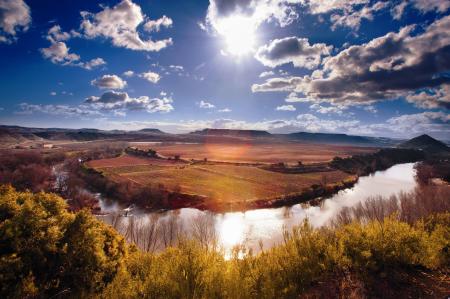 スペインワイン&スピリッツ試飲商談会が2025年11月に スペインワイン&スピリッツ試飲商談会が2025年11月に