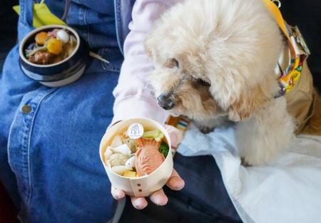 人気のワンちゃん用駅弁が京都鉄道博物館に1日限定で