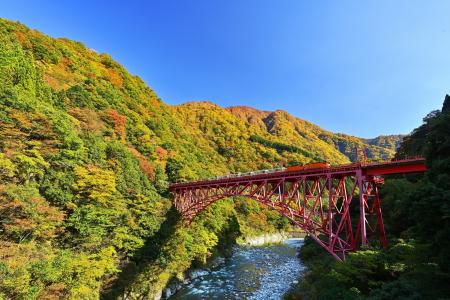 黒部峡谷（トロッコ電車沿線）の紅葉見頃について