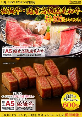 LION FXポンド円限定 松阪牛・国産高級黒毛和牛最大60