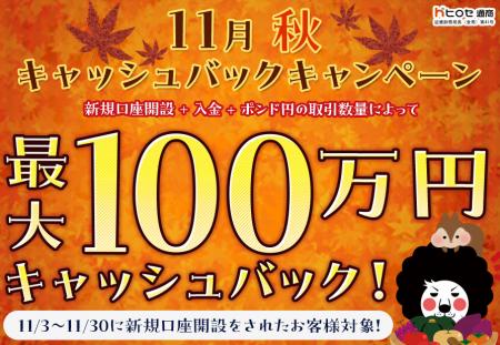 【新規口座開設限定】11月秋最大100万円キャッシュバ